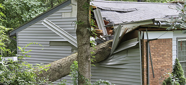 Disaster renovation experts can help with damage to the roof, windows, and other parts of a house caused by a storm.