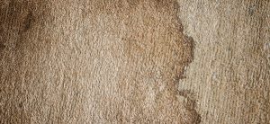Stains on carpets are unsightly and difficult to remove.