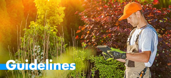 Landscaping guidelines for homeowners in Toronto that you should know about.