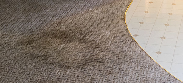 Stains, bad odor, or tears are signs you need to replace your carpet flooring.
