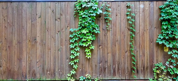  A vertical wood fence is commonly used in residential neighborhoods.