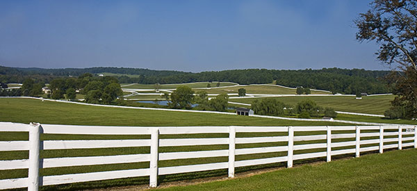 Mark the perimeter of your property and protect livestock with acreage or farm fencing.