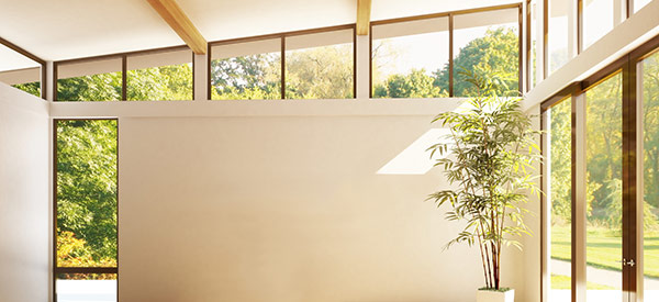 Window and door renovations beautify homes and increase comfort, safety, and energy-efficiency.