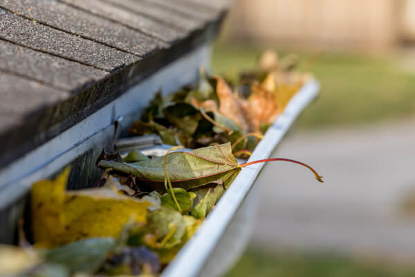 Gutter maintenance and replacement are essential to your home.