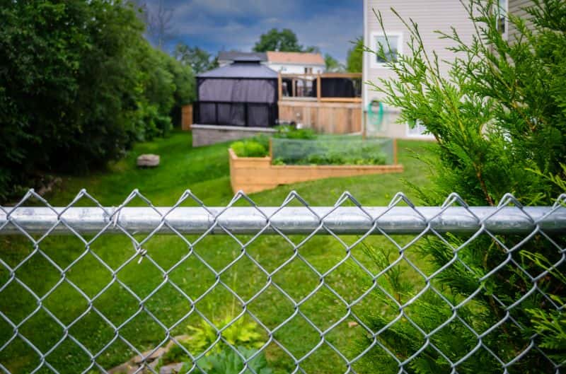 Visible garden behind a chain link fence in the backyard