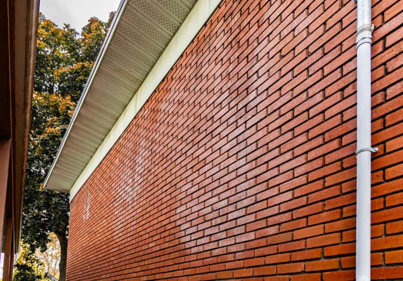 Brick wall with efflorescence