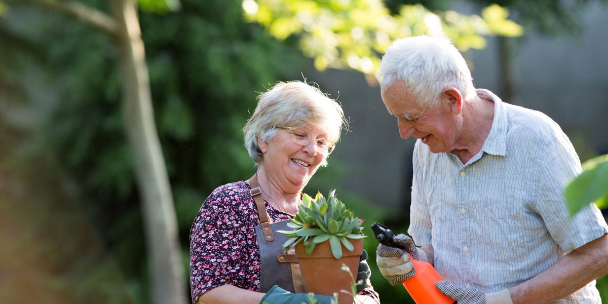 senior-couple-potting-plants